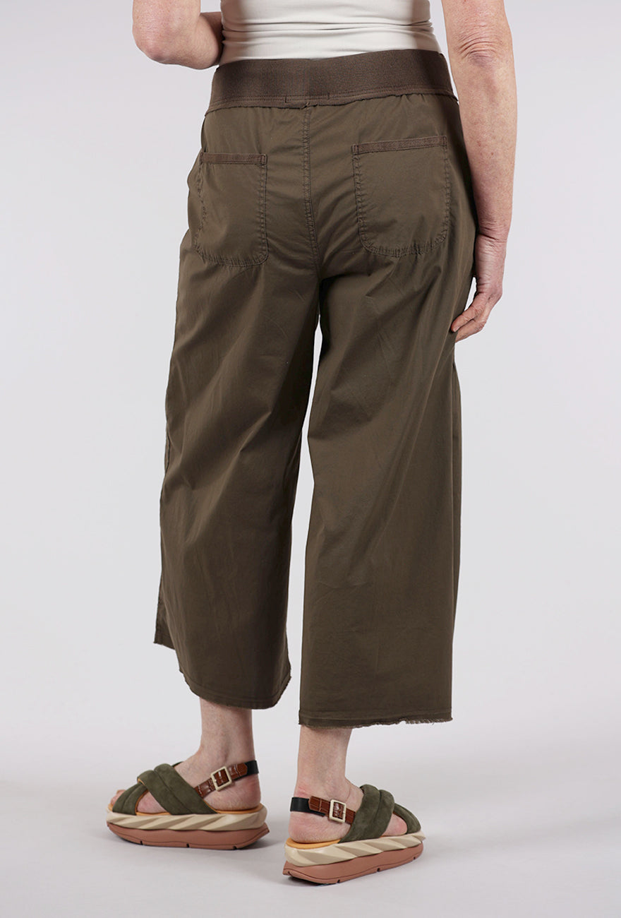 XCVI Seaver Gaucho, Westgate Brown