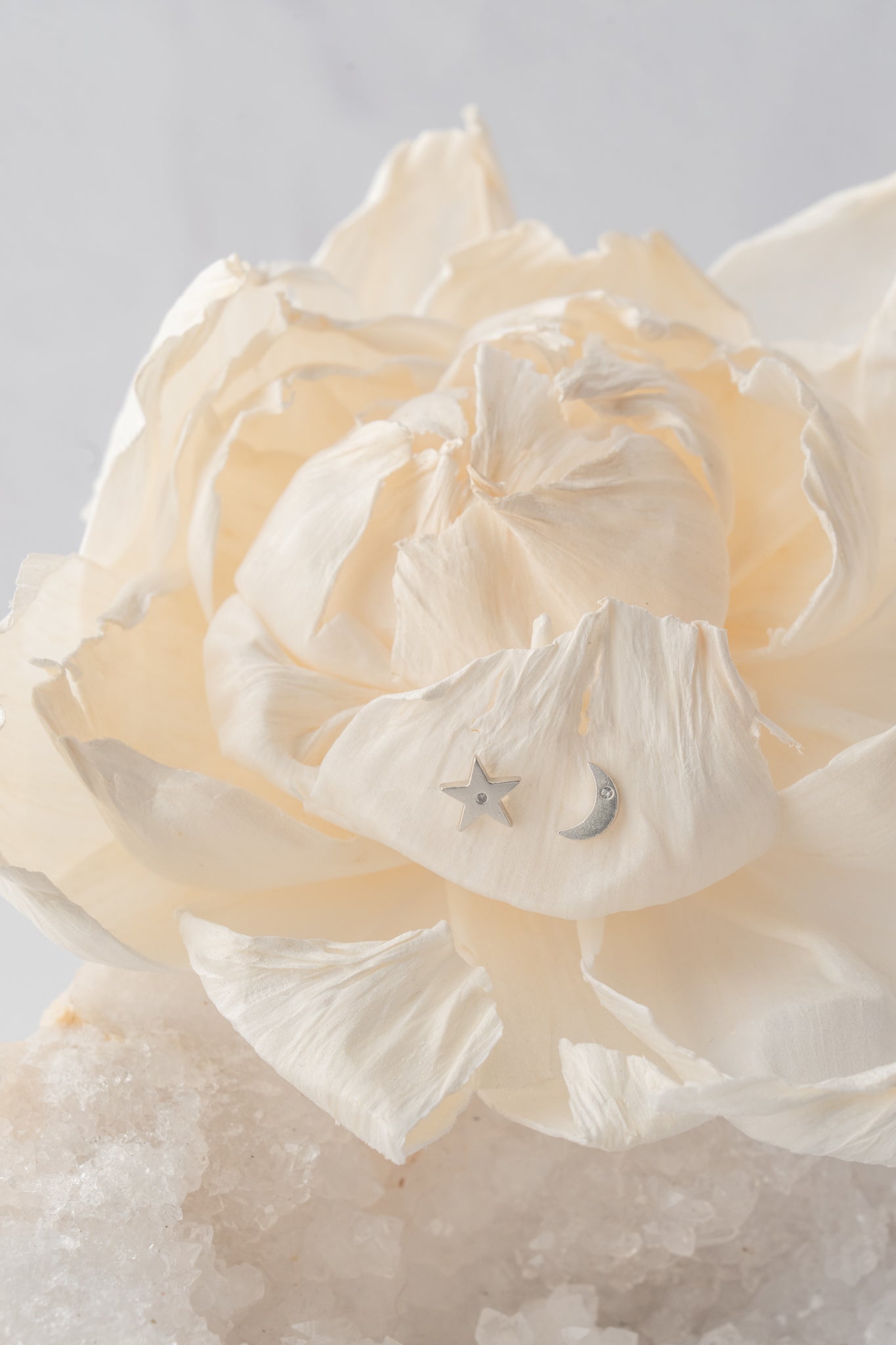 Matte Silver Moon/Star Mix Stud Earrings