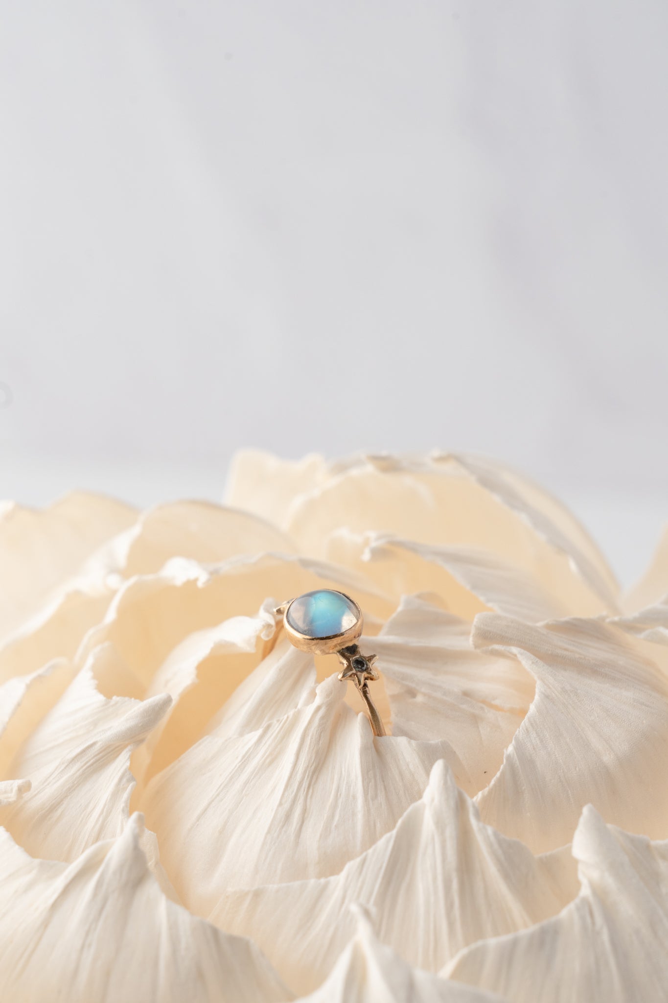 Acanthus Moonstone Titan Ring 