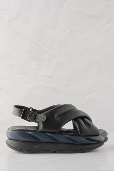 4CCCCEES Mellow Moa, Night 