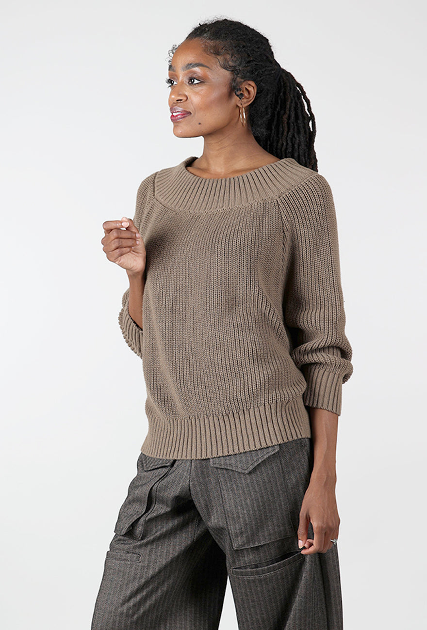 Pima Cotton Chunky Chic Sweater, Turtle