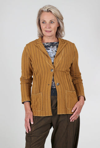 Cut Loose Frayed Stripe Fitted Blazer, Brass 