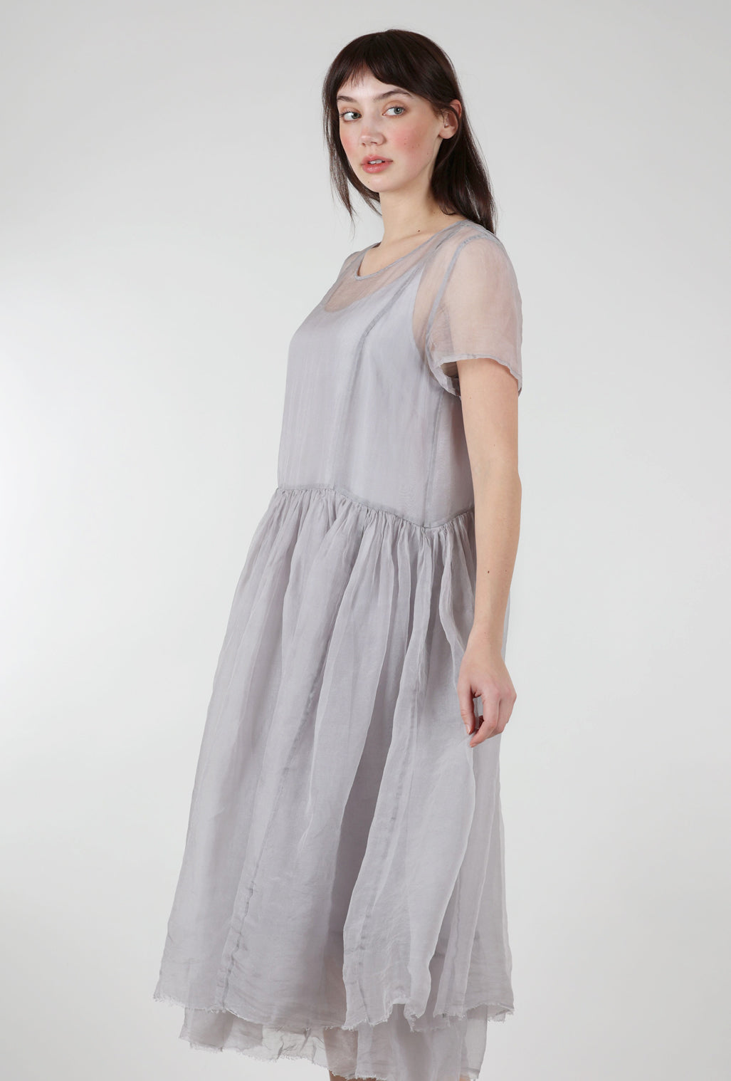 Grizas Prima Organza Dress, Silver 