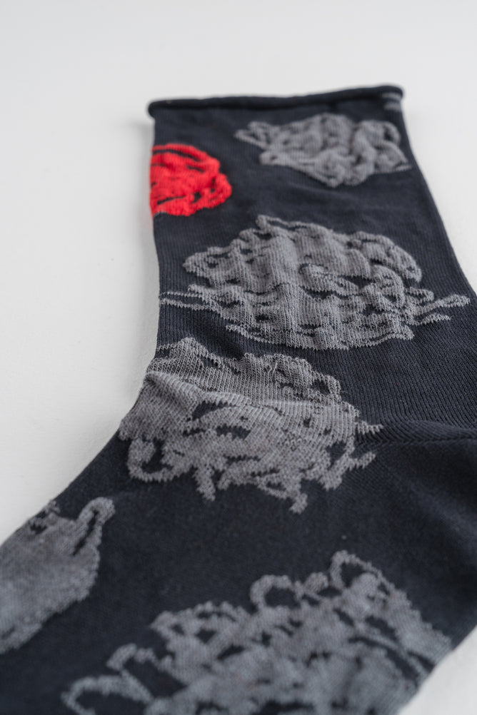 Pretty Posy Sock, Black/Red