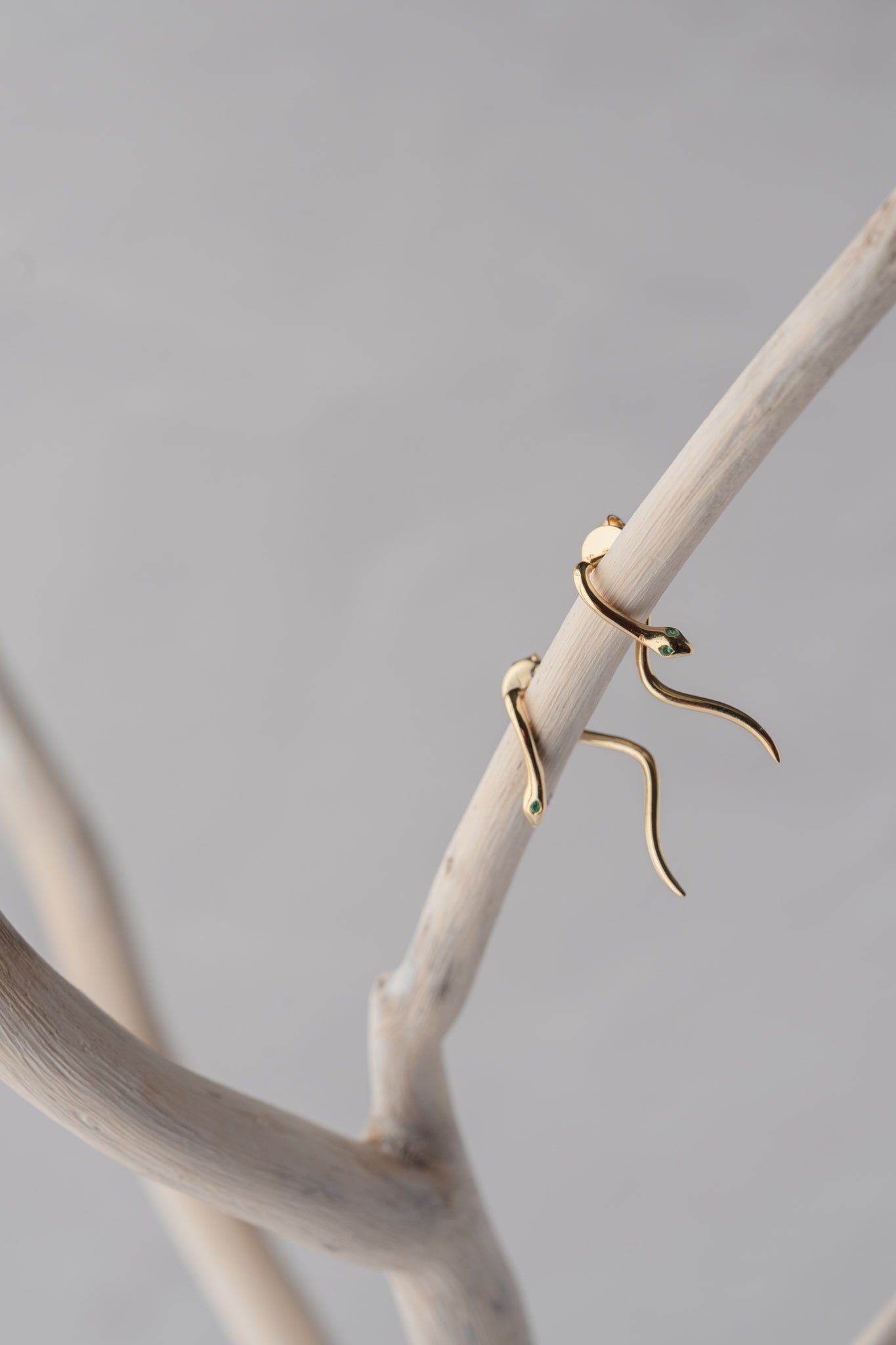 Native Gem Snake Charmer Earrings 