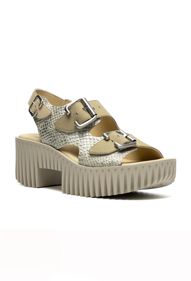 4CCCCEES Plia Astra, Ivory