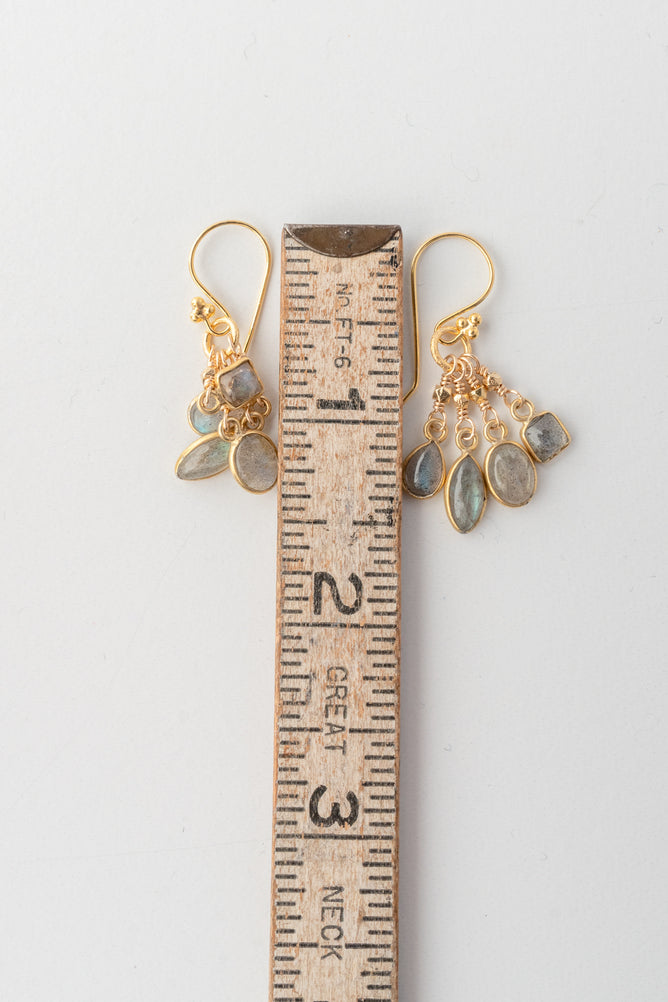 Robindira Unsworth Bezel Lab Cluster Ears 