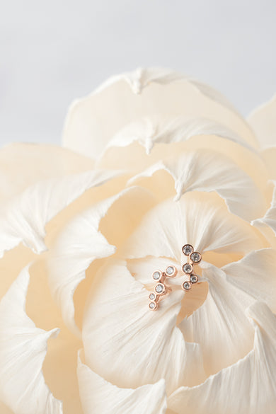 Tai Rose Gold Climber Post Earrings 