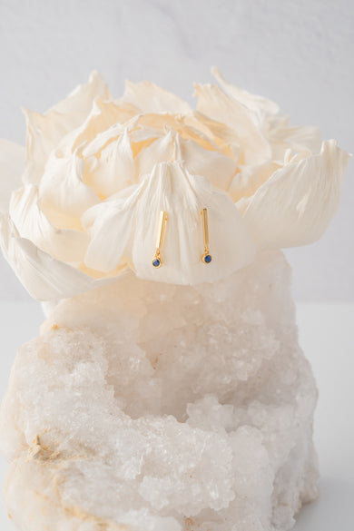 Pave/Stone Stick Earrings