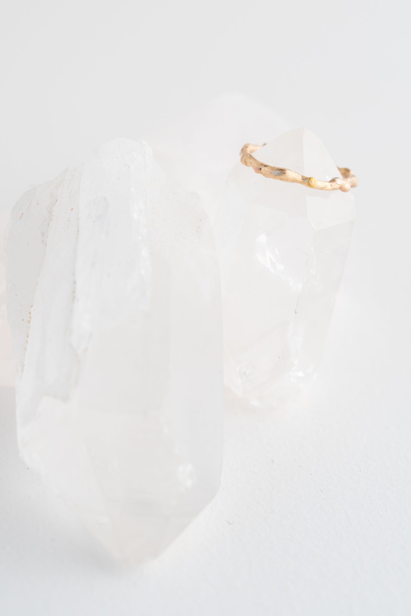 Evie Lou Embedded Band 14k Gold Ring 