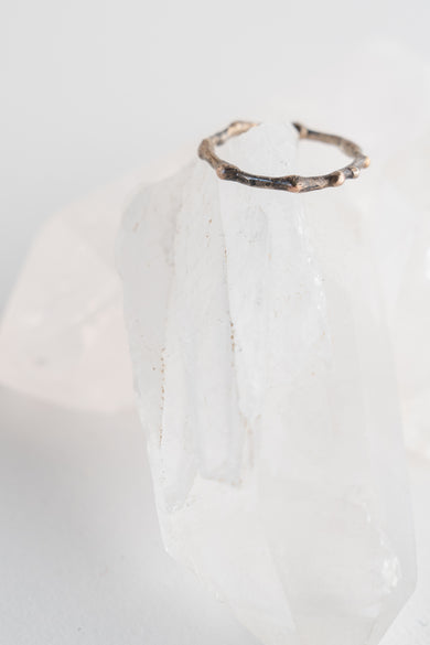 Variance. Embedded Band Sterling Silver and Gold 